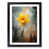 Black Framed selected