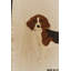 Support mural pour chiens