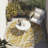 Kyrie Abstract Indoor / Outdoor Rug-517391844