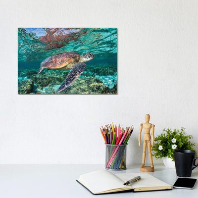 The Reef Wanderer by Jordan Robins - Print on Canvas
