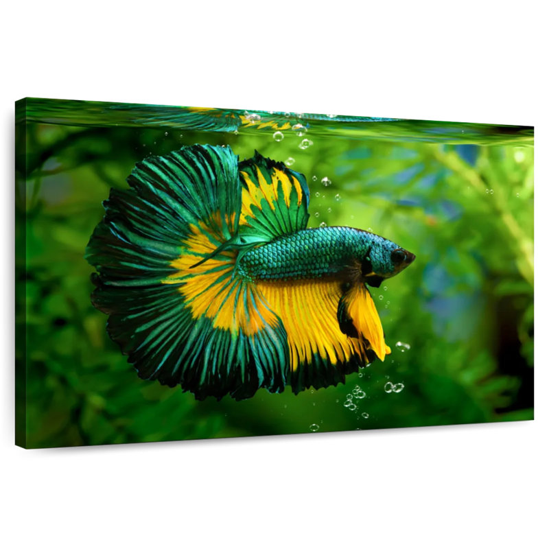 Green Yellow Betta Fish, 26" H x 39" W