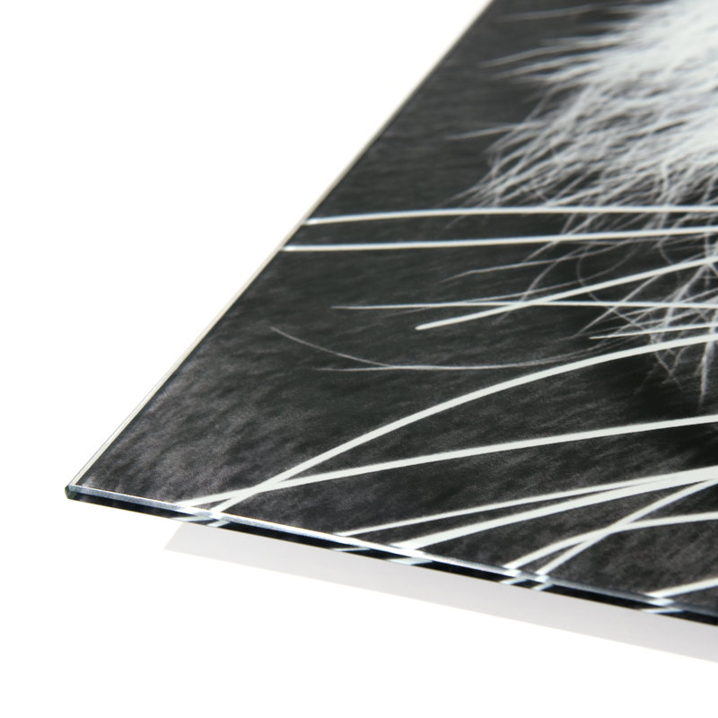 Tigre ABC - Ensemble de 3 peintures sans cadre sur verre