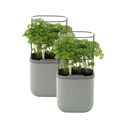Mini pot à fleurs d'extérieur en plastique avec treillis