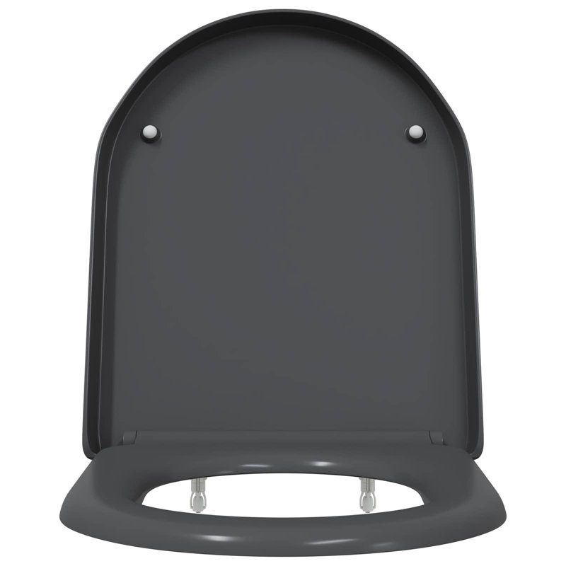Grey Plastic Standard Adjustable Armrests Toilet Seat Oval, Anthracite