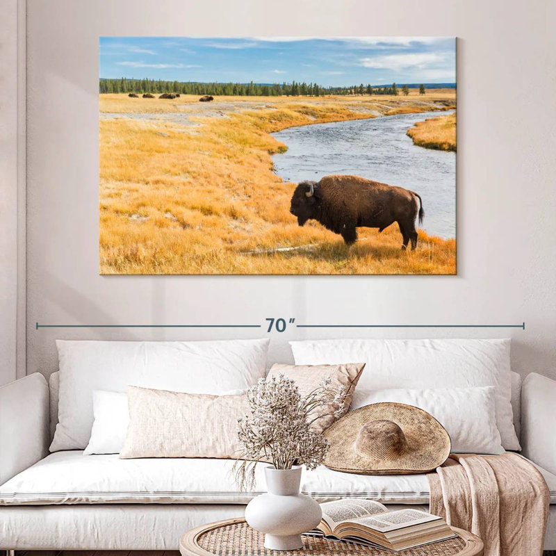 Brampt National Park Bison, 34" H x 51" W