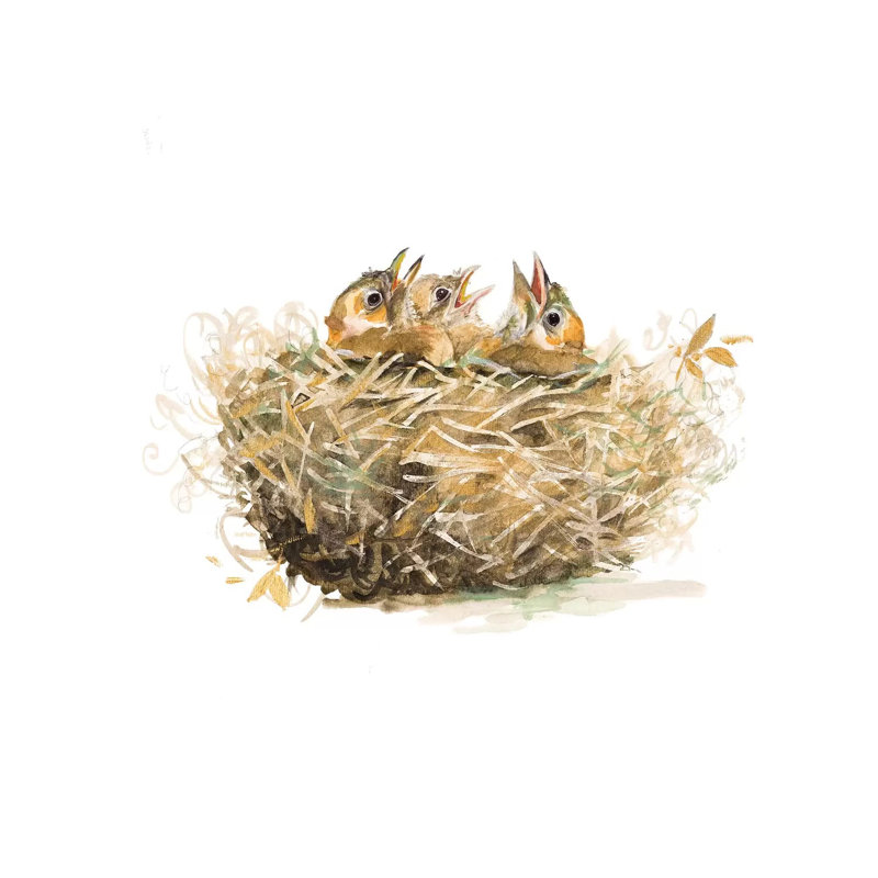The Nest by Patricia Pinto - Wrapped Canvas Print, 45.72 cm H x 45.72 cm W