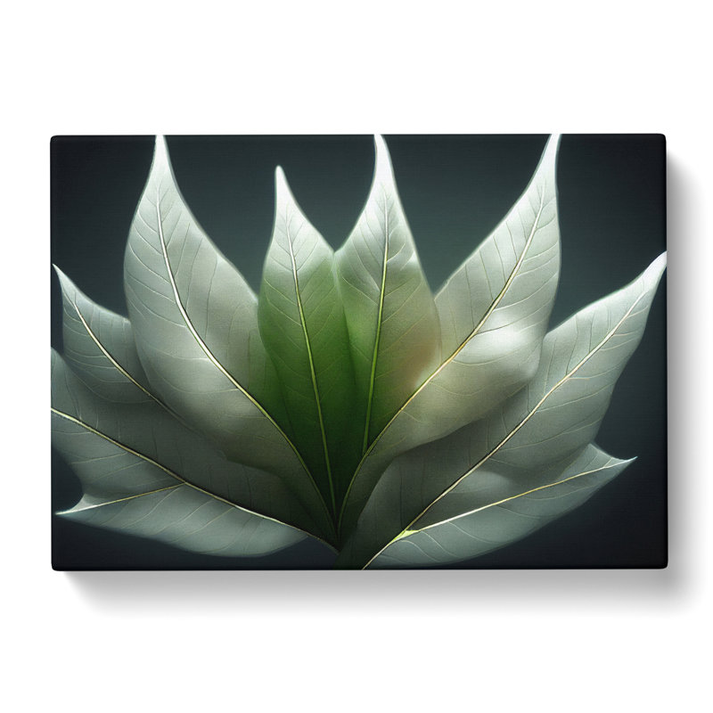 Enlightened Leaf - Wrapped Canvas, 50cm H x 76cm W x 3cm D