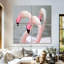 Flamants roses Brampt