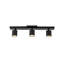 Arnold 3-Head Black LED Track Lights