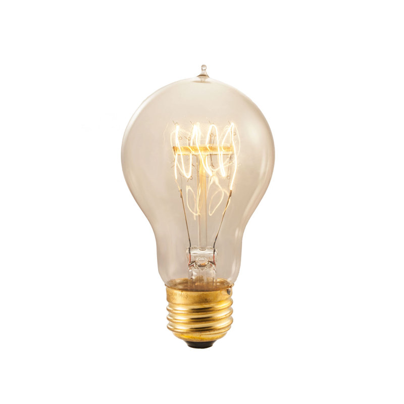Jothan 48-ft Outdoor 15 - Bulb Standard String Light (End to End Connectable)