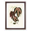 Tri-Coloured Passion Vine by Benjamin Fawcett - Picture Frame Painting Print-55764832-55764834