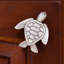 2" Turtle Knob-39948810-128273470-128273473