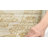 Neelam Performance Oriental Rug-394006559