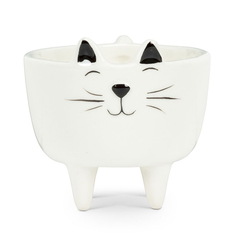 Ceramic Pot Planter