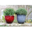 Einar Pot Planter-408628607-408628602