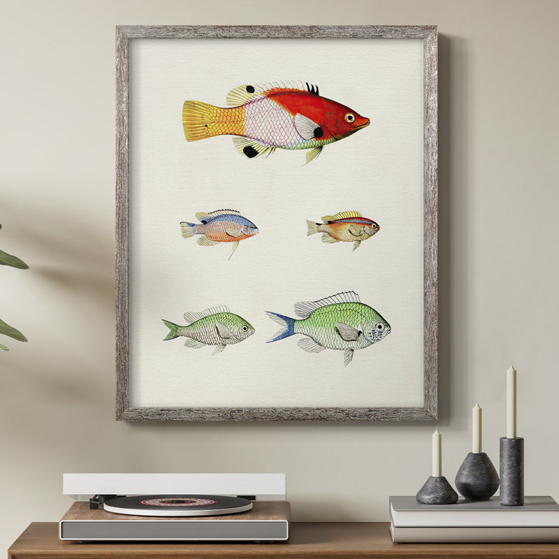 «Colorful Tropical Fish I», reproduction encadrée - bois massif, H 30 po x l 24 po