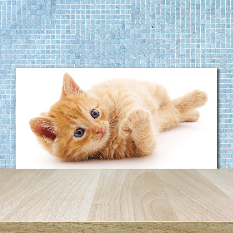50cm W x 100cm L Glass Peel and Stick Panel
