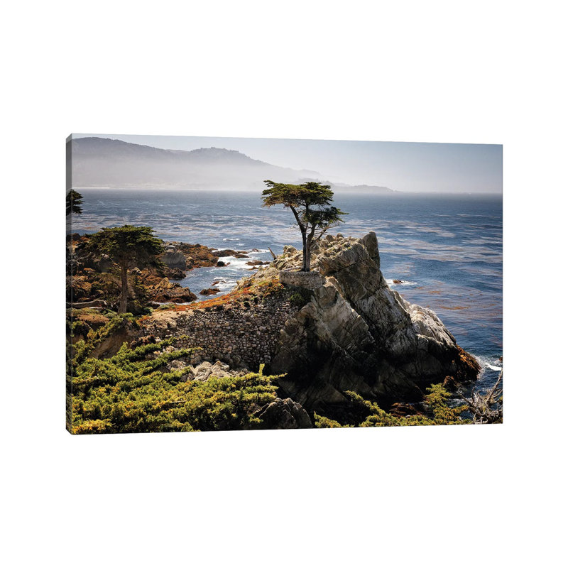 «Lone Cypress Tree» - reproduction, Toile tendue, H 12 po x l 18 po x 1,5 po