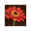 Flor Urbana III Print by Sofia Fox-26937107-26937110