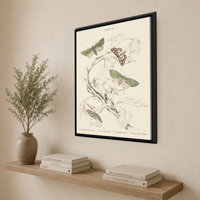 Mariposas I par V. Larkspar - Impression sur toile
