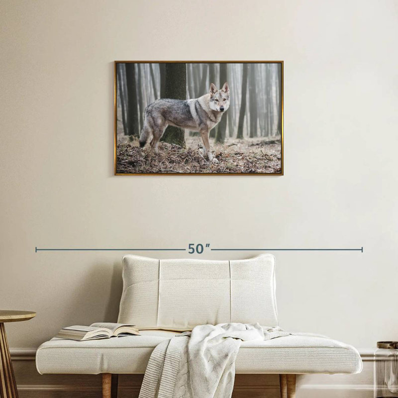 Loup d'hiver brumeux, Cadre flottant doré, 31 po x 21 po