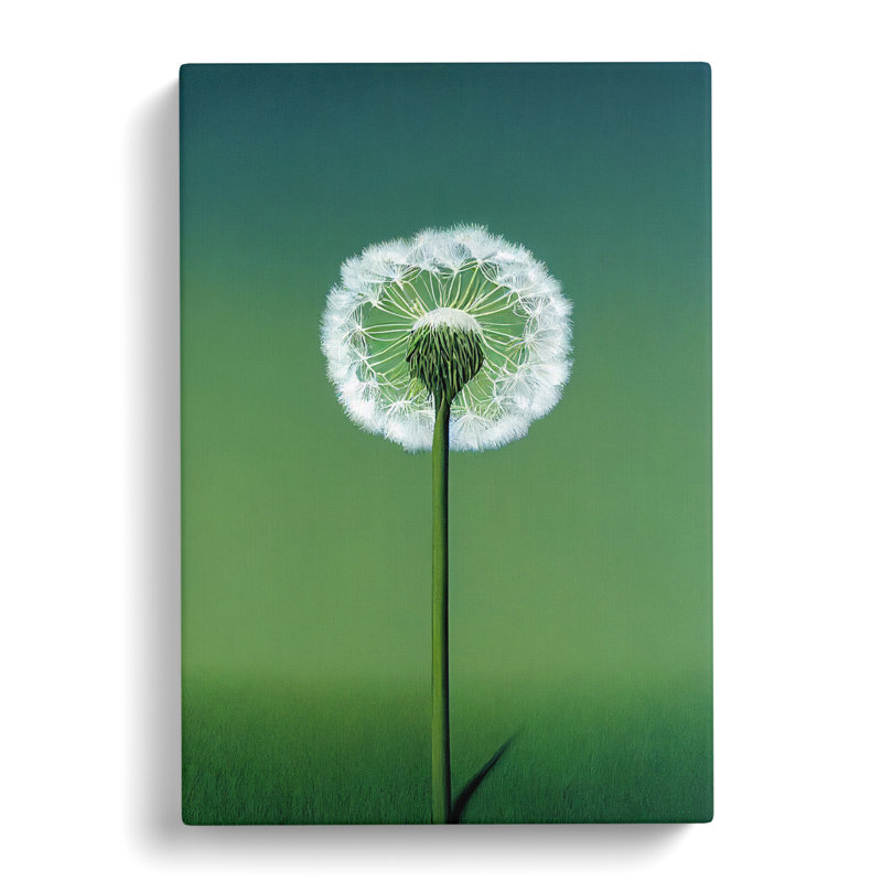 Single Dandelion - Wrapped Canvas, 50cm H x 35cm W x 3cm D
