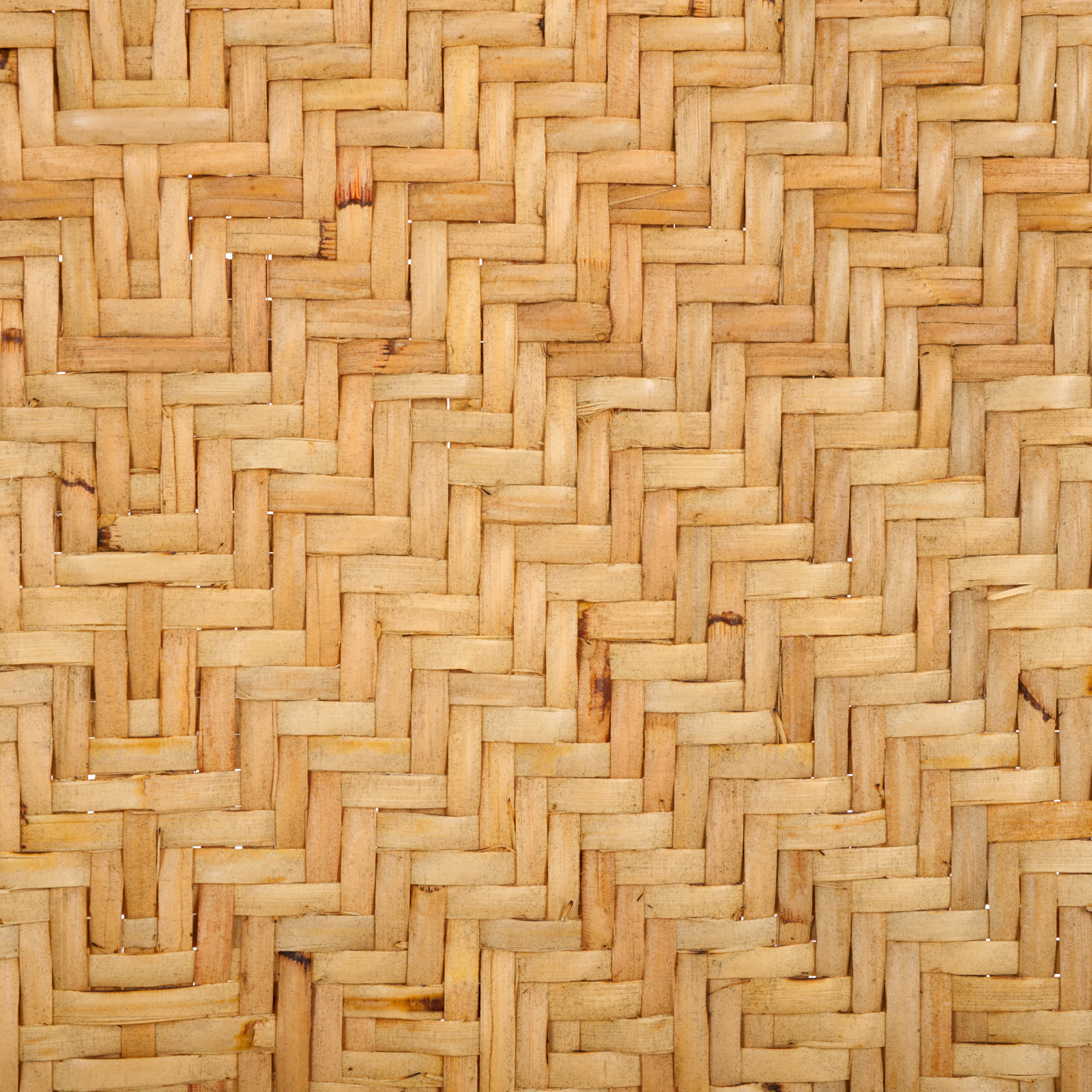 Bree Dining Chair