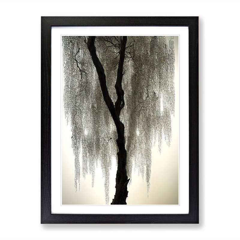 Weeping Willow Tree Art Vol.2 - Picture Frame Print, 64cm H x 46cm W x 2cm D, Oak
