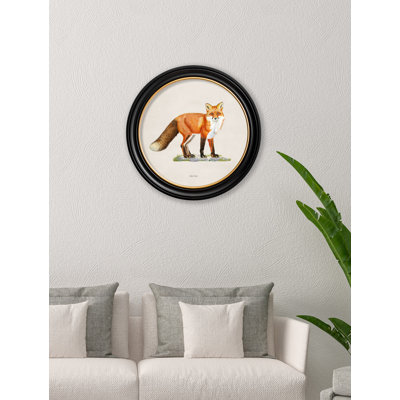 Fox by Mid-1800s - Single Picture Frame Print on Archival Matt 230gsm Paper