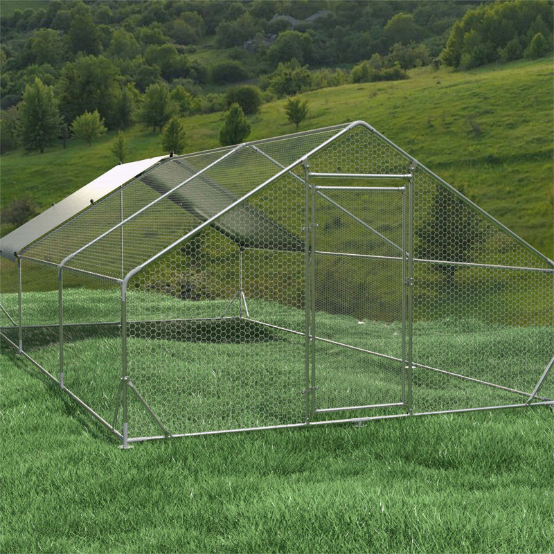 Grande cage à poulets en métal avec couvercle, H 77 po x l 236 po x P 118 po