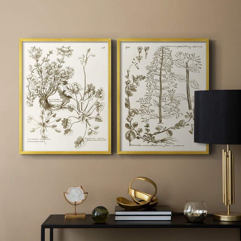 «Sepia Botanical Journal», reproduction encadrée de qualité supérieure - prête à être accrochée - aucun clou requis - aucun clou requis