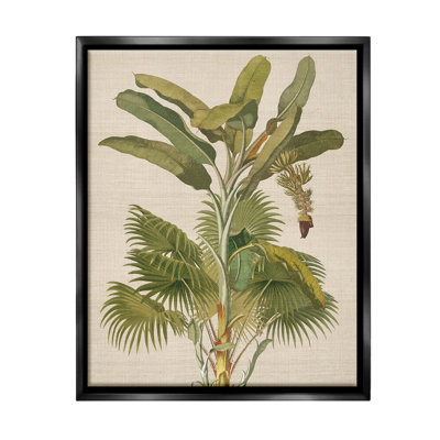 «Vintage Tropical Plant Floater Frame» par Amber Sterling sur