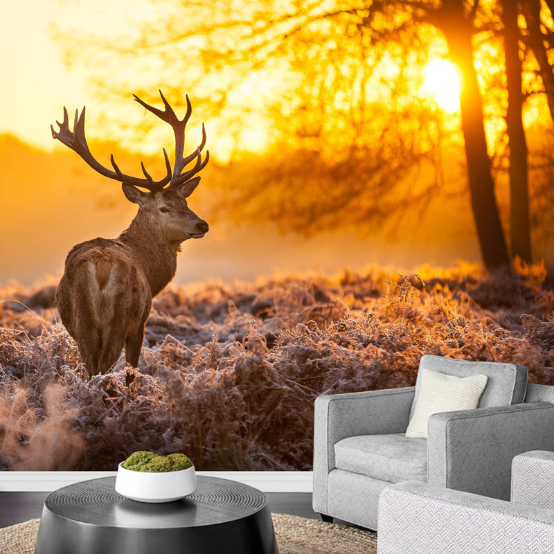 Red Deer in Morning Sun Large Wallpaper, 100" L x 144" W