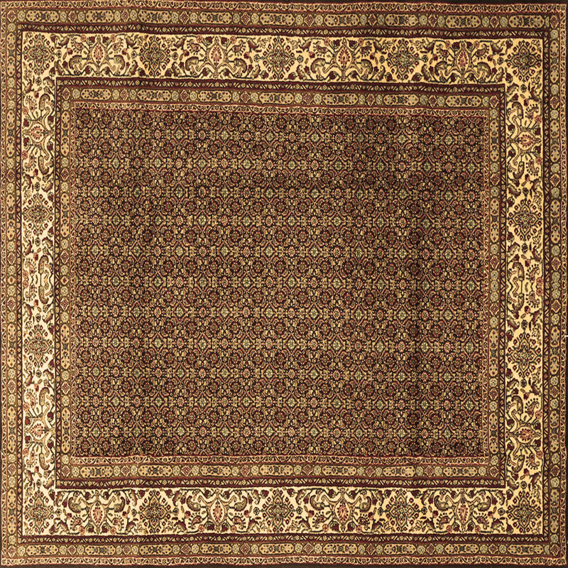 Liuba Performance Oriental Indoor Rug, Square 7'