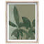 Oliver Gal Shadows II Floral & Botanical - Luxury Shadowbox Framed Wall Art-1603765549-1603765550