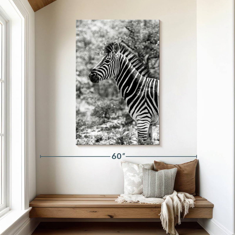 BW Portrait of Burchell's Zebra II, H 48 po x l 32 po