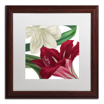 Jadaya " Christmas Amaryllis II " by Color Bakery