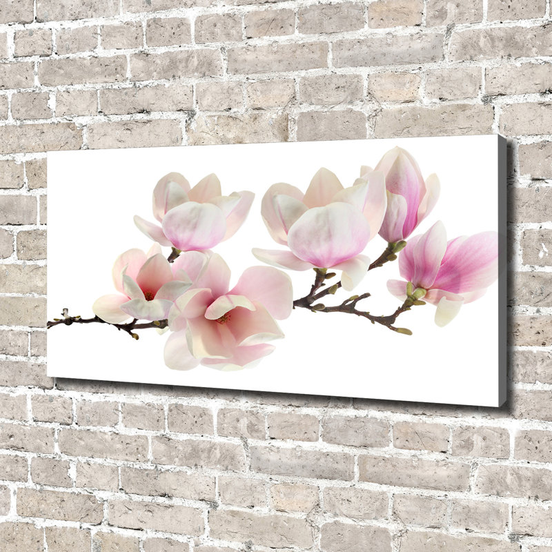 Magnolia - Print, Wrapped Canvas, 70cm H x 140cm W x 2cm D