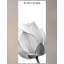 Murale Hao Lotus-760066555