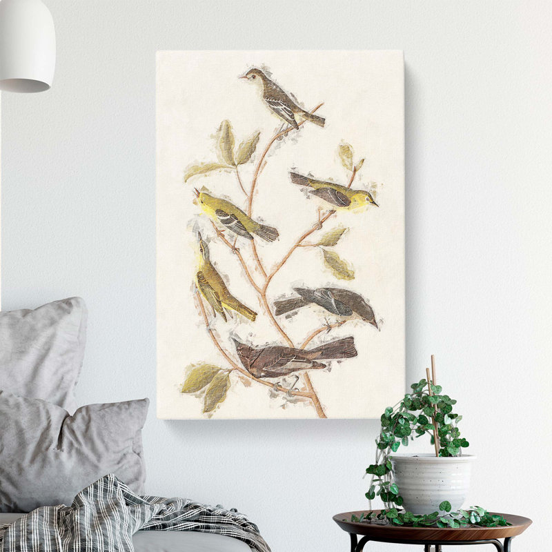Collection Of Birds - Wrapped Canvas Painting, 76cm H x 50cm W x 3cm D