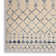 Moritz Ikat Indoor Rug