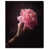 Gallery Wrapped n'est pas disponible