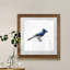 Mixed signaux II-reproduction d’art sur papier encadrée-113901455-113901454