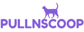 Logo PULLNSCOOP