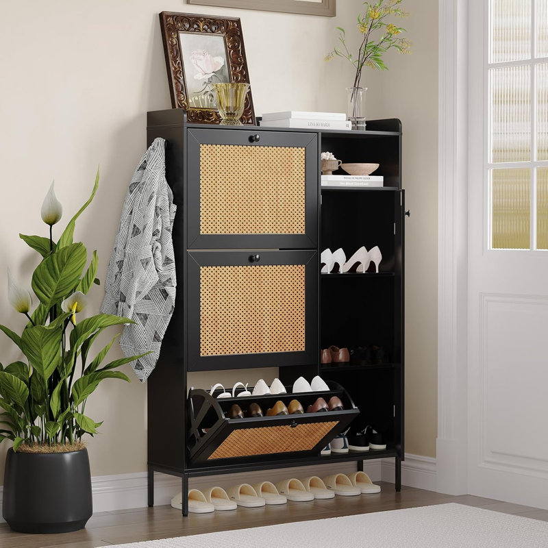 Dashae 28 Pair Shoe Storage Cabinet, Black 