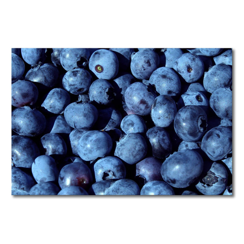 Wrapped Canvas Print, 80cm H x 120cm W x 2cm D