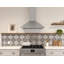 Zephyr Siena 30 in. 400 CFM External Wall Mount Range Hood in Stainless Steel