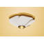 Plafonnier Madeline de Home Ec.