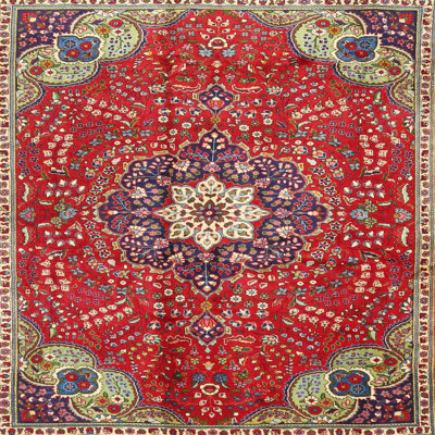 Oriental Indoor Rug