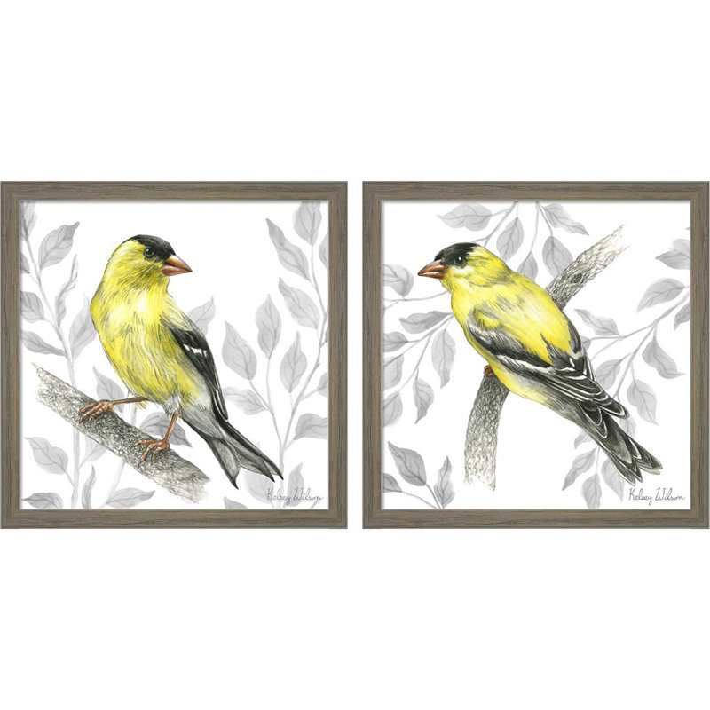 «Backyard Birds B by», ensemble de 2 reproductions de cadres photo